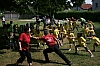 VM_LA_2011_11.jpg