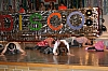 Ki-Pru2012 467.jpg Ki-Pru2012 467.jpg