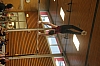 IMG_8184.jpg IMG_8184.jpg
